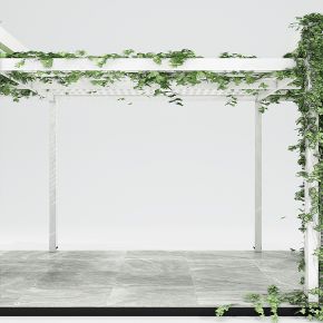 现代绿植藤蔓绿植