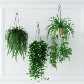 现代绿植盆景组合