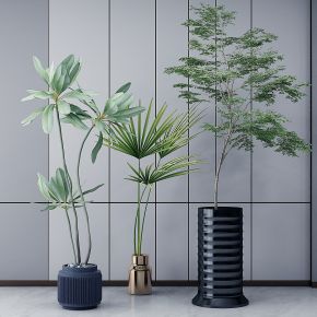 现代盆栽花瓶