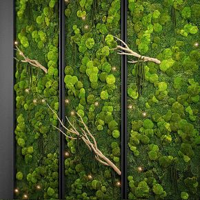 苔藓植物墙,绿植墙