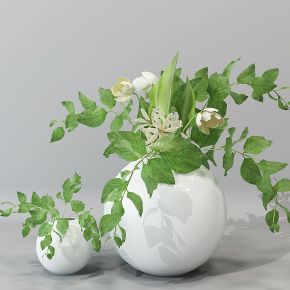现代盆栽植物花瓶