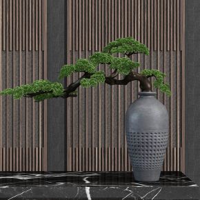 现代盆景植物松树摆件组合