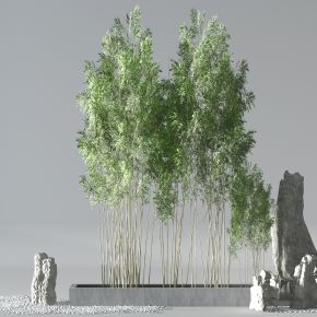 新中式植物竹子石头景观小景配镜石子