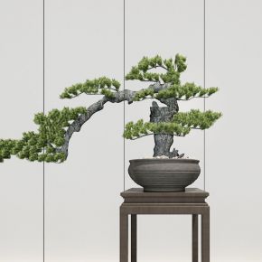 新中式盆栽