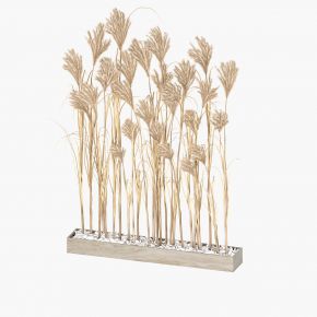 现代芦苇干枝盆栽