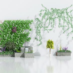 现代绿植，花坛，花箱，盆栽，植物墙，绿植墙，花藤，藤条，绿柳条，藤蔓