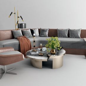 现代休闲沙发茶几组合