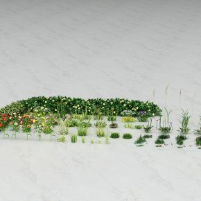 现代绿植，植物堆，花草，花卉，油菜花，野花，野草，灌木，绿化带