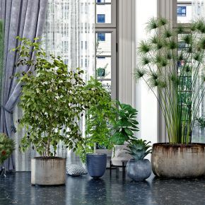 现代绿植盆栽，花盆