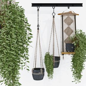 现代悬挂绿植盆栽，吊篮
