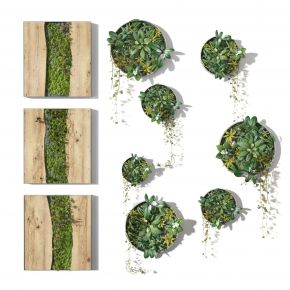 现代植物墙饰，植物绿植墙，苔藓吊装植物绿植