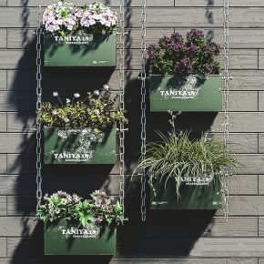 现代墙壁挂式植物 绿植 盆栽 花草花卉