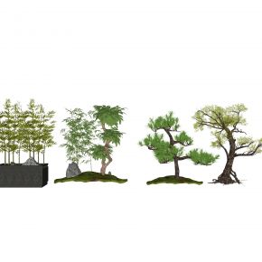 新中式景观树 盆栽 竹子