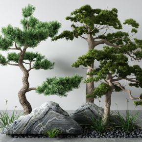 新中式景观树 松树