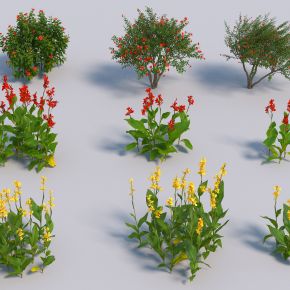 现代草花3D模型