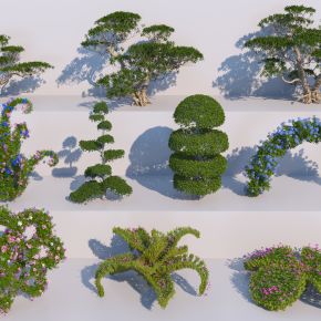 现代灌木3D模型