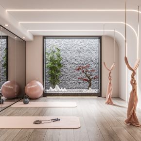  现代健身房 健身器械 瑜伽垫 瑜伽球 镜子 反重力吊床