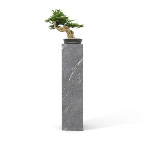 中式盆栽