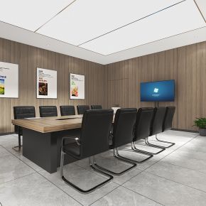 会议室，多媒体室，会议桌椅组合，实木皮沙发