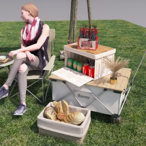 围炉煮茶  露营 野餐整理箱