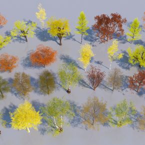 现代秋景树木3D模型