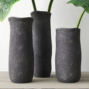 绿植,桌面绿植