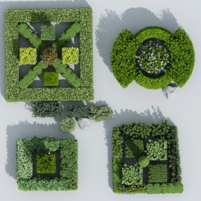  绿篱 方形灌木 方形树 方形绿篱 绿化带 法式绿植
