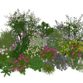 花卉花草组合 灌木 景观绿植花草 室外鲜花绿化 植物组合 绿植花丛