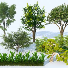现代开花树 植物组合3D模型