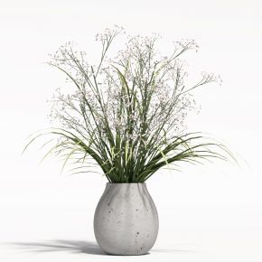 现代花瓶植物 花瓶花卉
