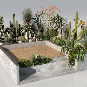 现代沙漠植物组