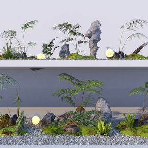 现代庭院植物组合3D模型
