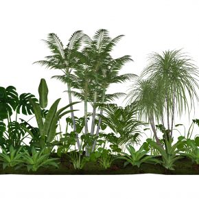 3d景观植物热带植物地被花卉棕榈植物龟背竹玉簪室内植栽观赏花卉