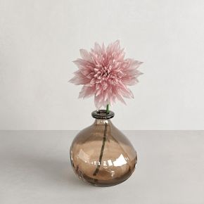 玻璃花瓶中的大丽花