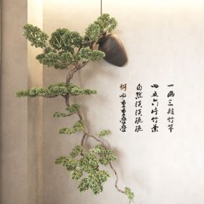 盆景 盆栽 植物 绿植 吊篮绿植 松树