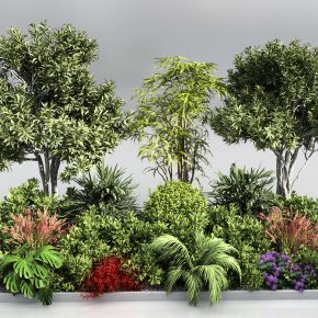 现代植物堆