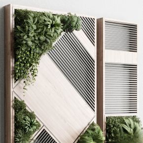 现代植物花草,垂吊和墙面