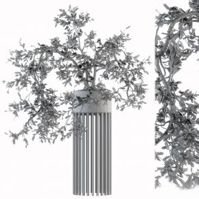 现代植物花草,植物盆栽