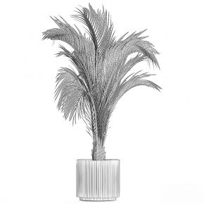 现代植物花草,植物盆栽