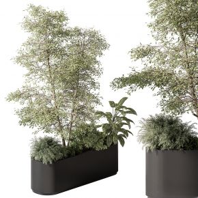 现代植物花草,植物盆栽