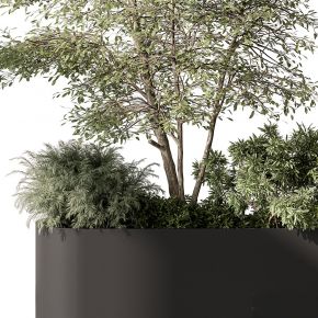 现代植物花草,植物盆栽
