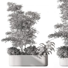 现代植物花草,植物盆栽