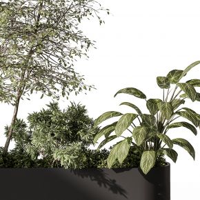 现代植物花草,植物盆栽