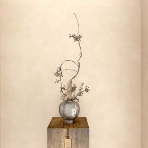 植物 花盆 花瓶 盆栽 盆景 中式盆景