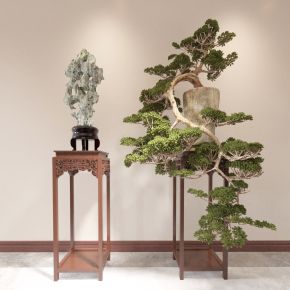 盆景 盆栽 造景 植物 室内绿植 雕塑 石雕