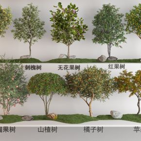 现代果树植物组合