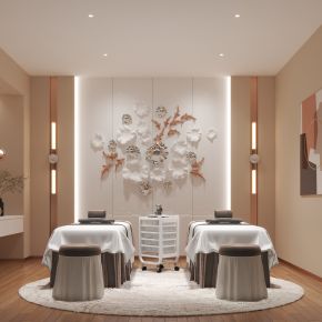 现代美容院 包间 美容床 背景墙3d模型