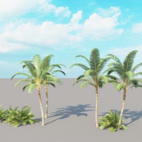 棕榈树