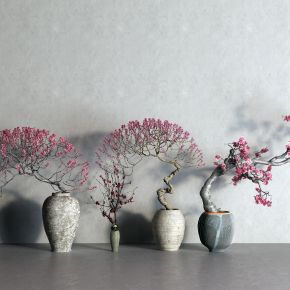 中式梅花 盆栽