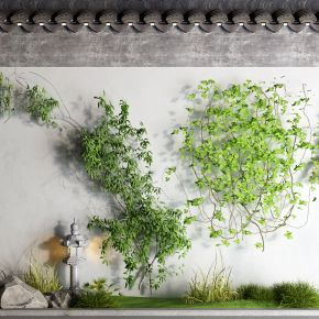 中式藤蔓 院墙 草地